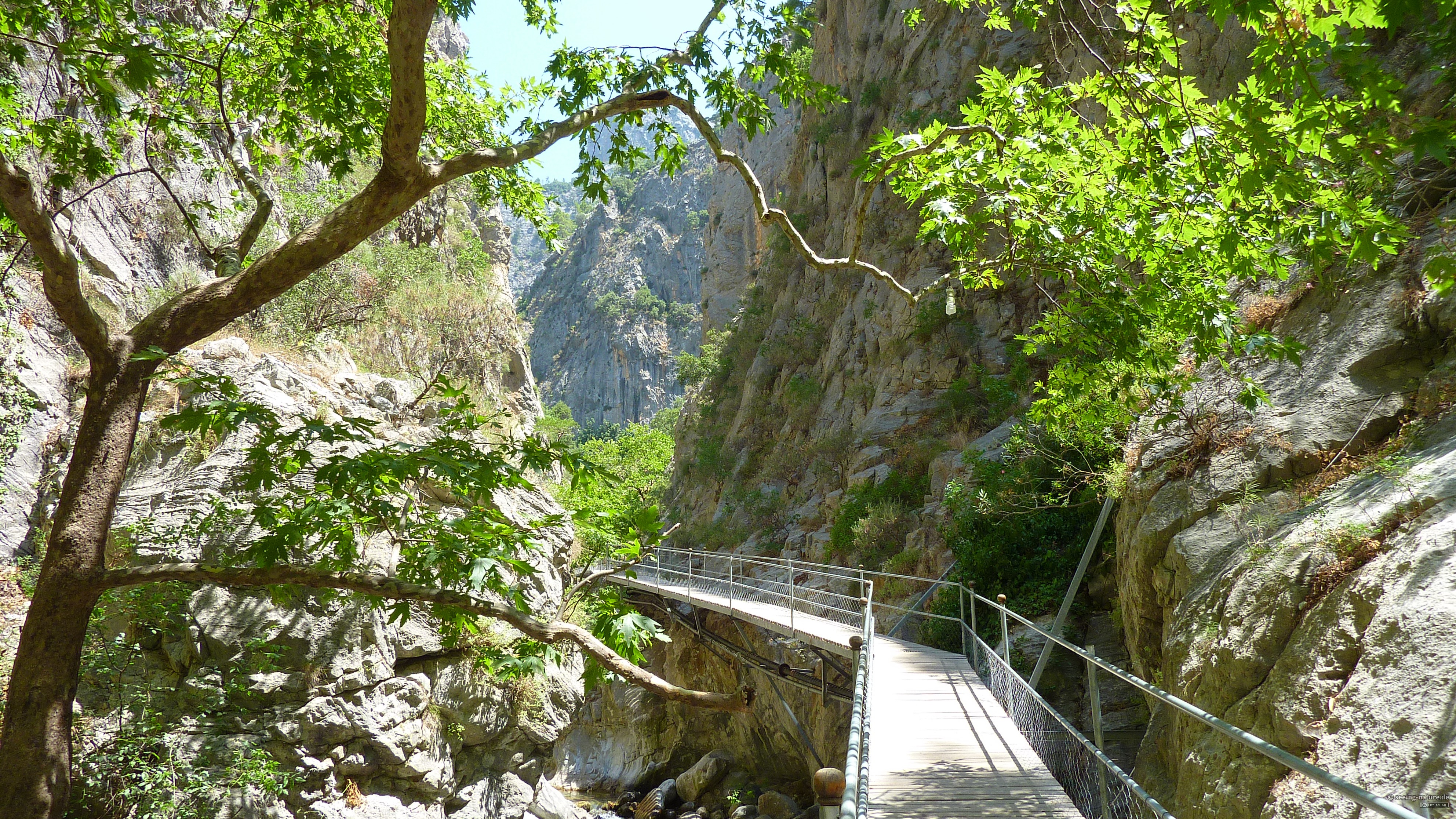 Canyon Walk