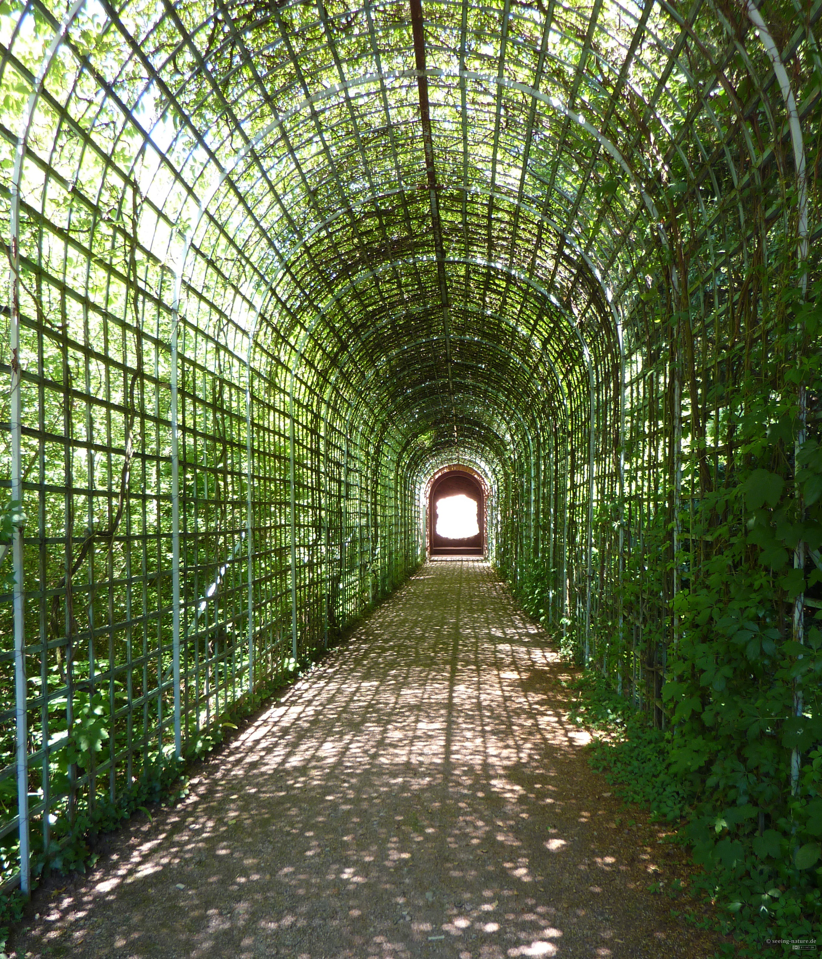 Web Tunnel